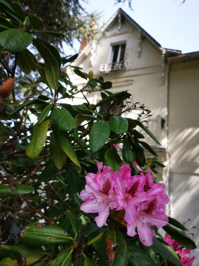 Chambres D'Hotes La Maison Blanche Saint-Junien Zewnętrze zdjęcie
